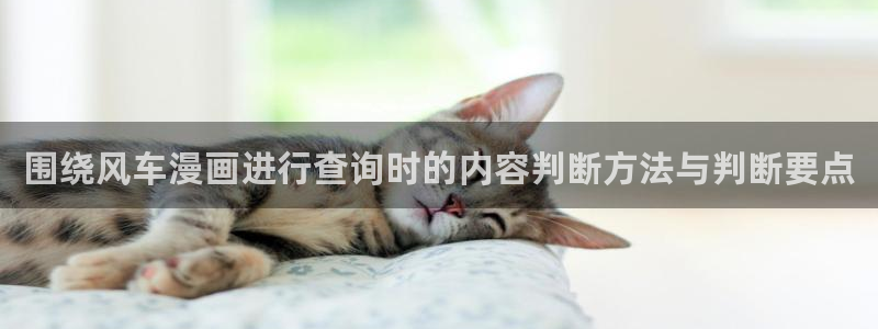 下拉式漫画:围绕风车漫画进行查询时的内容判断方法与判断要点